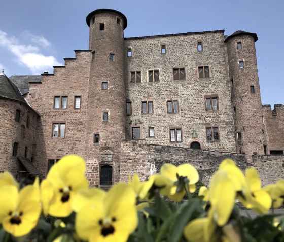 Schloss Hamm, © TI Bitburger Land