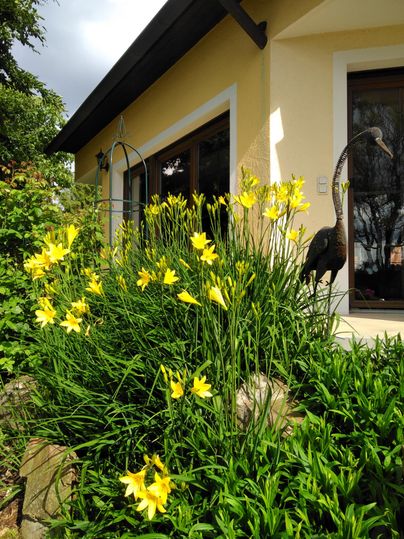 Ein Garten mit leuchtend gelben Blumen vor einem hellen Haus. Im Hintergrund sind grüne Pflanzen und eine Statue zu sehen.