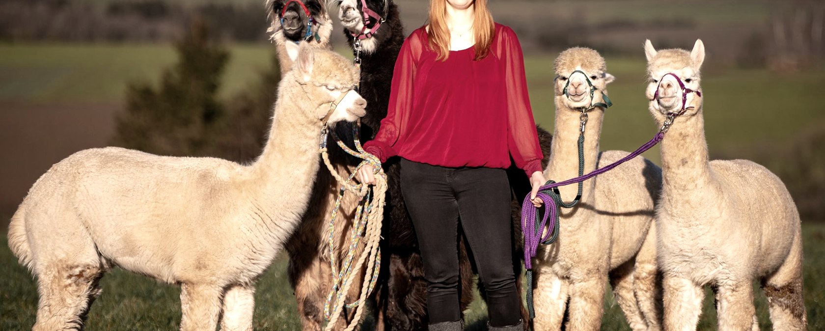 Verena Kauth und ihre Alpakas, © Verena Kauth