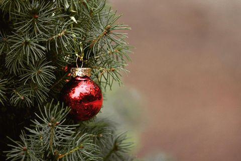 Ein schöner roter Weihnachtsbaumkugel hängt an einem grünen Nadelbaum. Die Stimmung ist festlich und einladend.