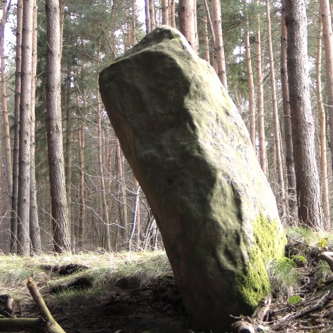 Langenstein in Seitenansicht, &copy; Felsenland S&uuml;deifel Tourismus GmbH