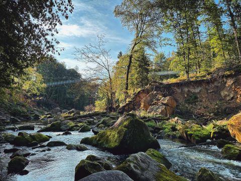 Ein ruhiger Fluss fließt durch eine grüne Landschaft mit Bäumen und Felsen. Das Wasser spiegelt den klaren Himmel und die Natur wider.