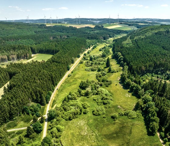 Der Eifel-Ardennen-Radweg führt mitten durch die grüne Landschaft der Eifel, © Eifel Tourismus GmbH, Dominik Ketz