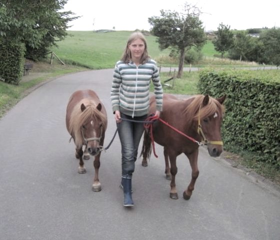 Ponys, &copy; Maria Hermes