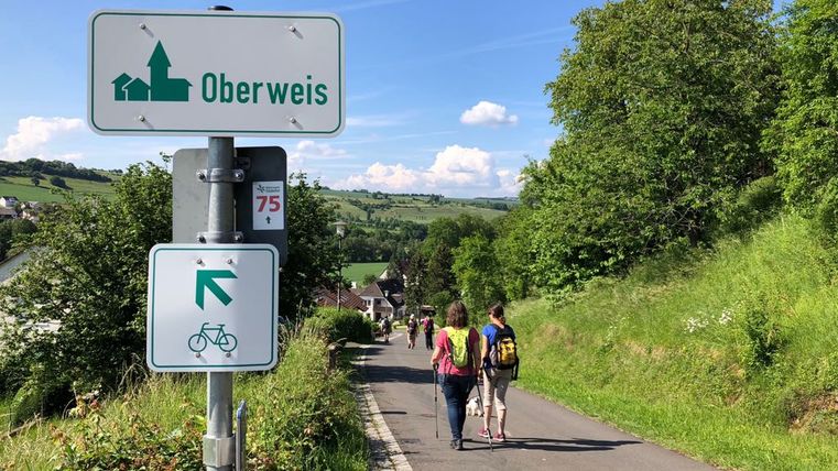 Hikers on a path in Oberweis with signposts and a green landscape.