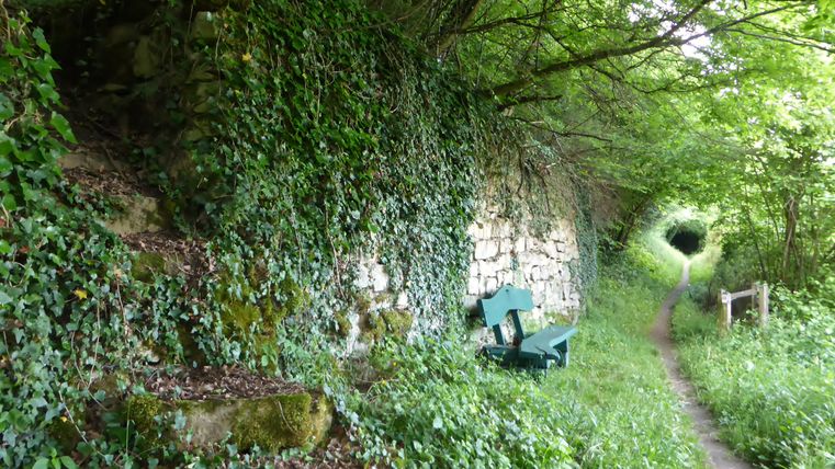 Ein grüner Rastplatz mit Bank an einer mit Efeu bewachsenen Trockenmauer, umgeben von dichtem Laub und einem schmalen Pfad.