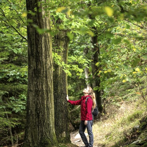 Stress management, © Eifel Tourismus GmbH, Dominik Ketz