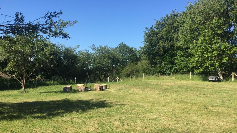An open piece of land with green grass and some trees in the background. The sky is blue and clear.