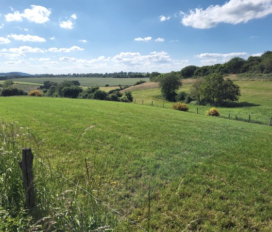 Islek-Landschaft bei Jucken, © Tourist-Information Islek