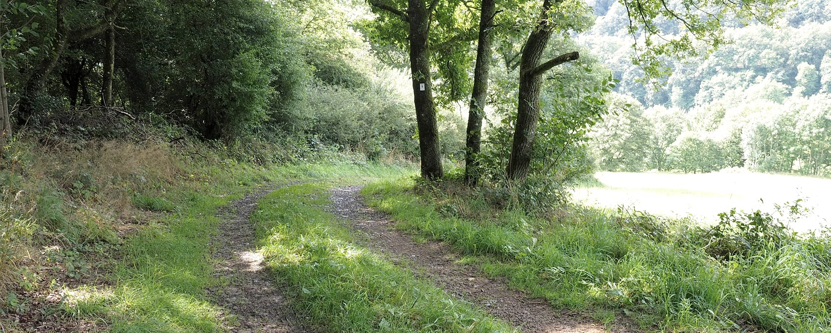 Hiking trail in the Our valley, &copy; V. Teuschler