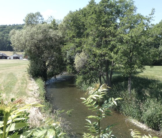 Ein Bach fließt durch eine grüne Landschaft mit Bäumen und Wiesen. Im Hintergrund sind Gebäude und ein bewaldeter Hügel zu sehen., © TI Bitburger Land