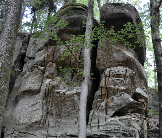 Large rock formation in the forest, surrounded by trees. The rocks are marked by erosion and overgrown with moss., © Lauschtour.de