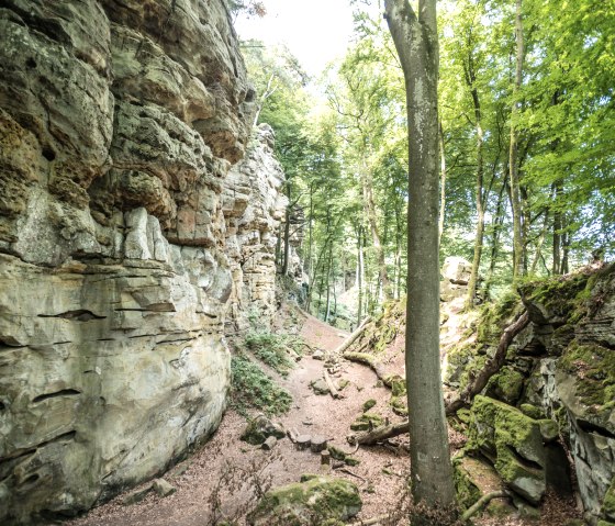 on-the-devil's-path