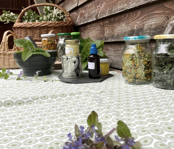 Outdoorapotheke, &copy; Felsenland S&uuml;edeifel Tourismus GmbH