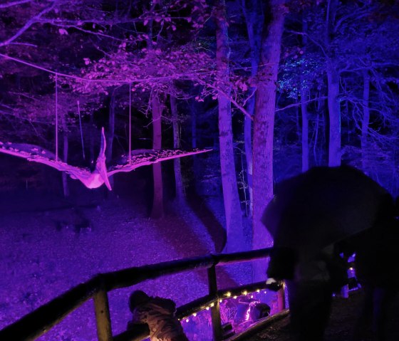 Geheimnisvolle Atmosphäre im Urzeitwald, © Dinosaurierpark Teufelsschlucht, Foto Elke Wagner
