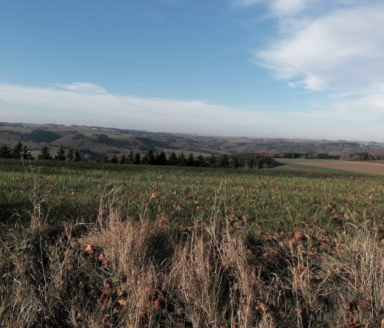 Horizont, &copy; Maria Theis