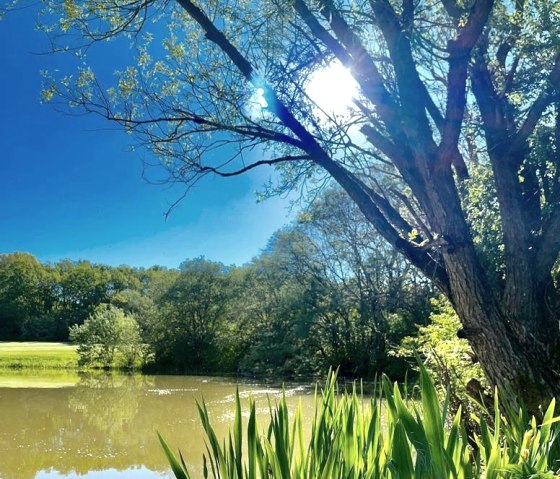 Golf Resort Bitburger Land, &copy; Roman Graf - Golf Resort Bitburger Land