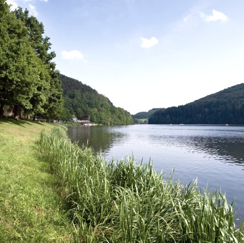 Stausee Ufer, &copy; Tourist-Information Bitburger Land