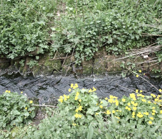 Ehlenzbach, &copy; Harald Geimer