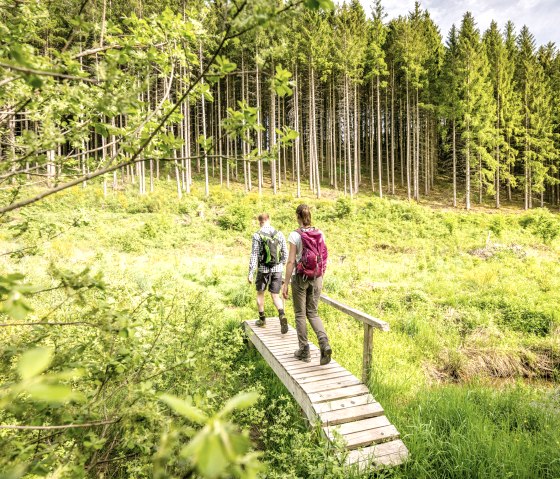 Zwei Wanderer mit Rucks&auml;cken gehen &uuml;ber einen Holzsteg in einem gr&uuml;nen Waldgebiet. Im Hintergrund sind hohe B&auml;ume zu sehen., &copy; Eifel Tourismus GmbH, D. Ketz