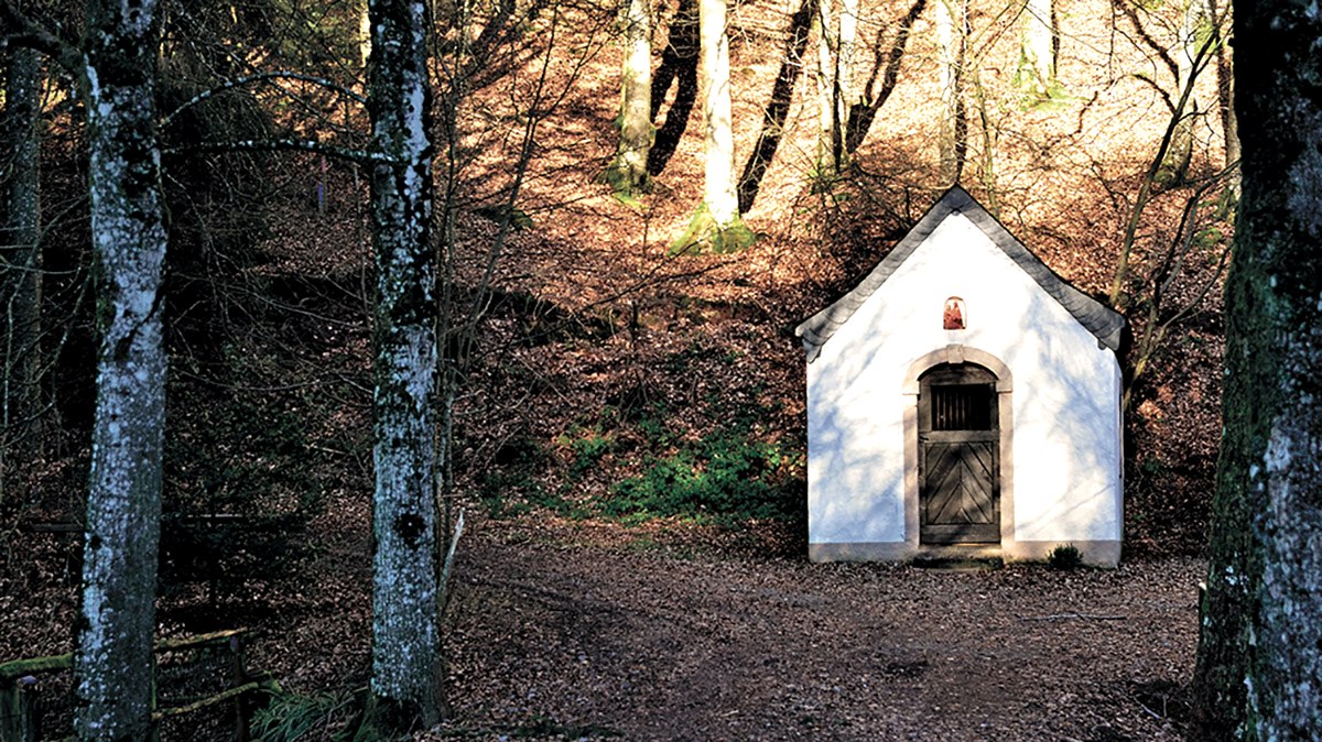 Weiße Kapelle im Wald, umgeben von Bäumen und Herbstlaub. Der Eingang ist aus Holz, die Umgebung wirkt ruhig und abgeschieden., © TI Bitburger Land