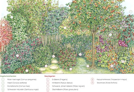 Gartenkultur Eifel Oktober, &copy; Naturprk S&uuml;deifel/Sabine Dubb.