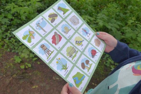 Ein Kind hält ein Blatt mit Bildern von verschiedenen Tieren und Pflanzen. Die Bilder sind in einem Raster angeordnet und zeigen Elemente der Natur.