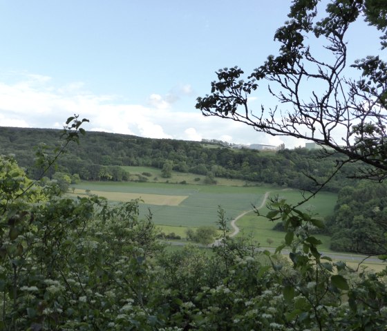 View from a wooded hill of green fields and forests under a blue sky. A narrow path winds its way through the landscape., &copy; Elke Wagner, Felsenland S&uuml;deifel Tourismus GmbH