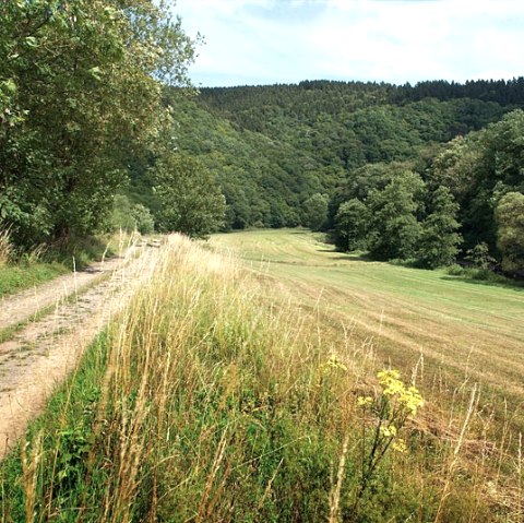 bei Gentingen, &copy; V. Teuschler