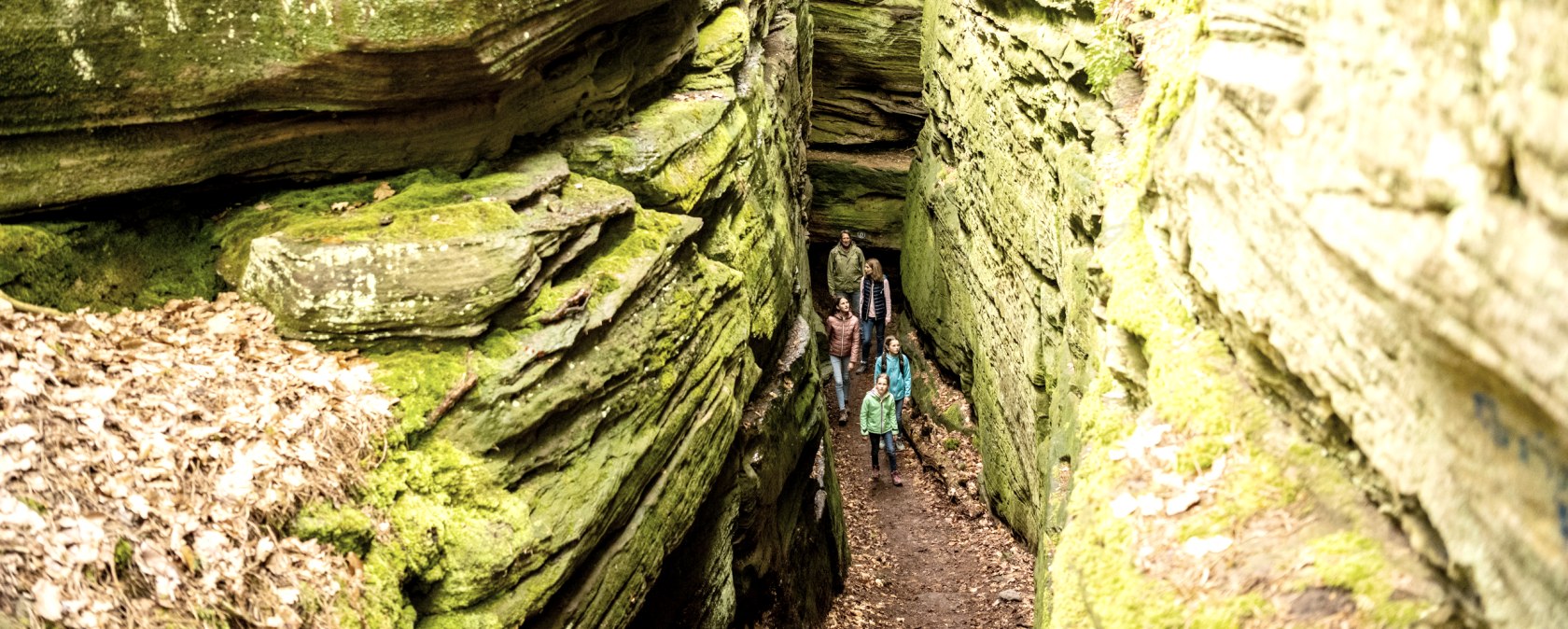 A group of people hike through a narrow, moss-covered gorge with high rock faces., &copy; Eifel Tourismus GmbH, Dominik Ketz