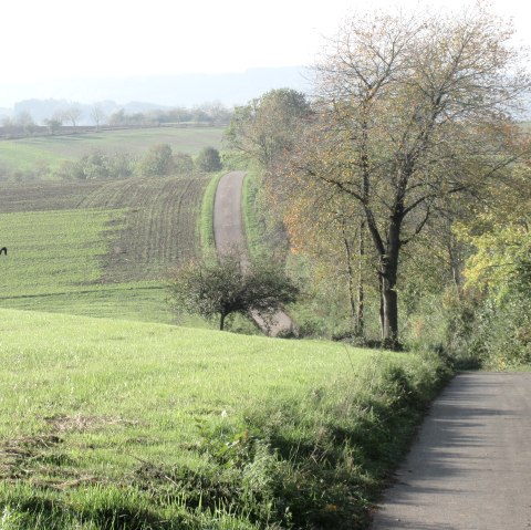 img_8409, &copy; N. Mainz