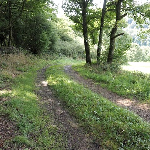 Hiking trail in the Our valley, © V. Teuschler