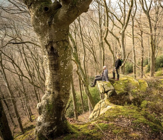 Two people are standing and sitting on a moss-covered rock in a bare forest. The trees are tall and dense, without leaves., © Eifel Tourismus GmbH, D. Ketz