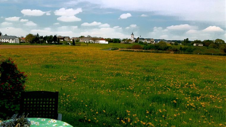 A green meadow with many dandelion flowers stretches beneath a cloudy sky. In the foreground, there is a table with a colorful tablecloth.