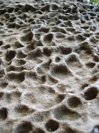 Nahaufnahme von wabenartiger Verwitterung auf einer Felsoberfläche.