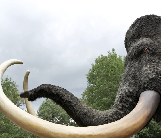 Mammut, &copy; Felsenland S&uuml;deifel Tourismus GmbH