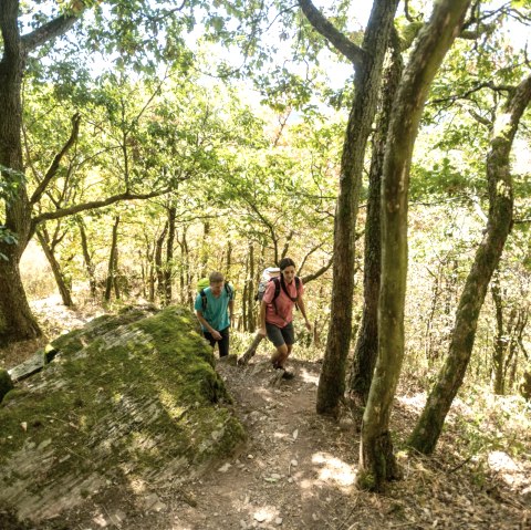 Two hikers on a narrow, wooded path in the Lätgesberg. The sun shines through the trees and illuminates the moss-covered ground., © Eifel Tourismus GmbH, D. Ketz