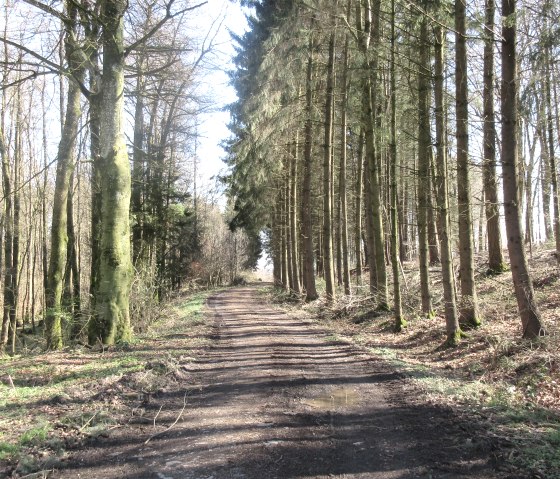 img_8805, &copy; Felsenland S&uuml;deifel Tourismus GmbH