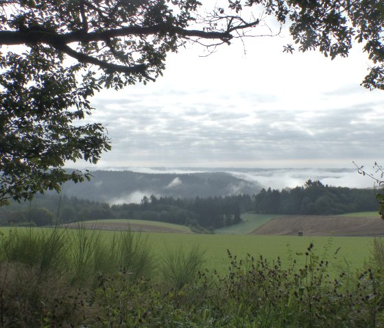 Fog in the valley near Dasburg, © Tourist-Information Islek