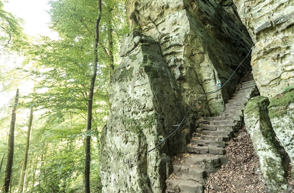 A steep stone staircase leads through a wooded gorge. The rocks are covered in moss and a rope serves as a handrail.