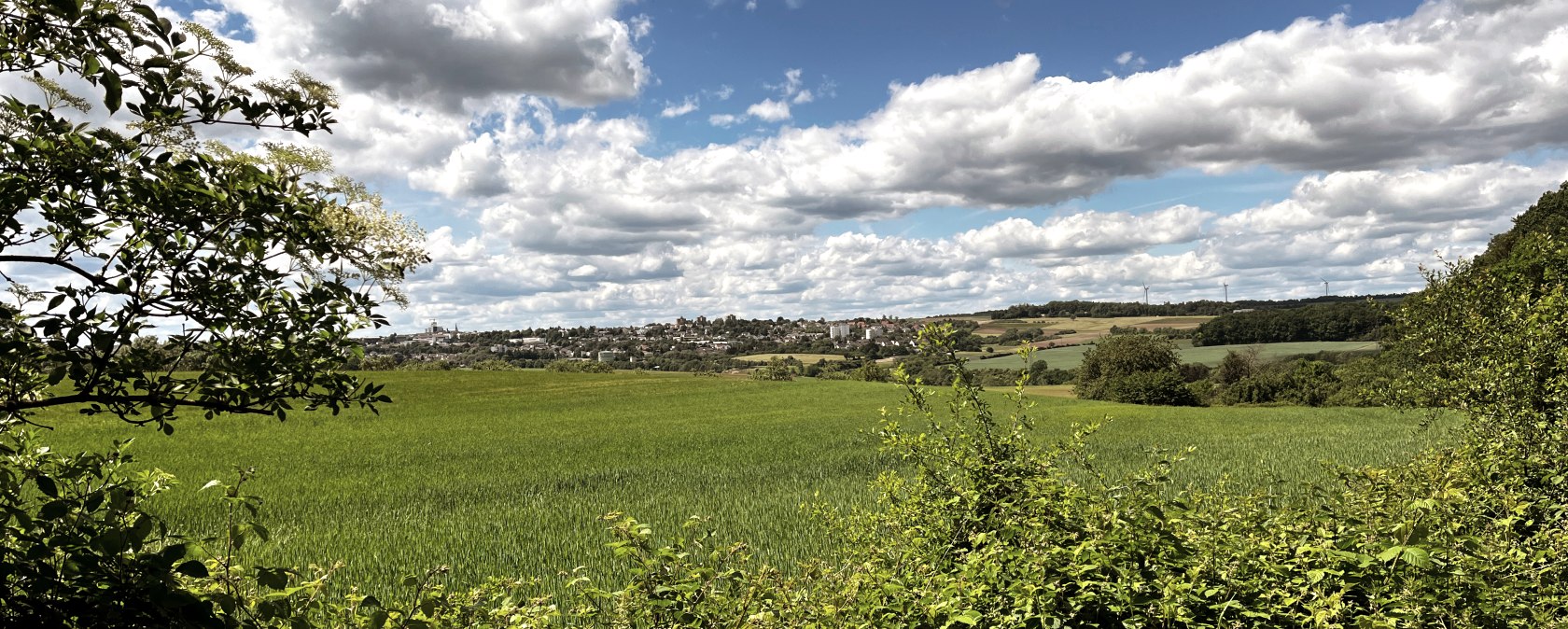 Green fields stretch out under a cloudy sky. Hills and a settlement can be seen in the background, framed by trees., &copy; TI Bitburger Land