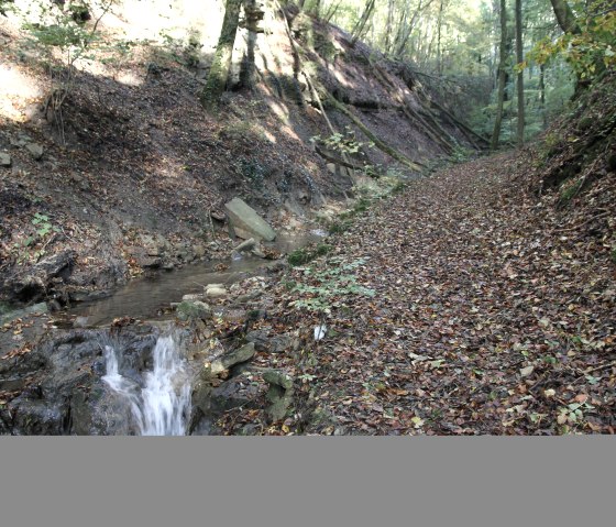 Naturpark Südeifel 70, © Reinhold Hansen