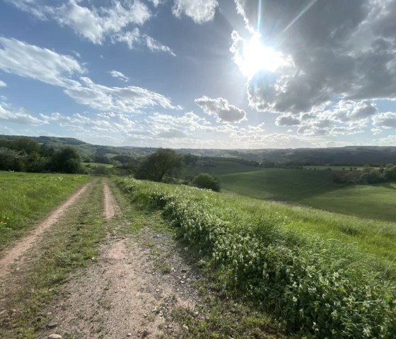 Fabulous views on the circular hiking trail no. 84 of the Southern Eifel Nature Park, © Felsenland Südeifel Tourismus, Anna Carina Krebs