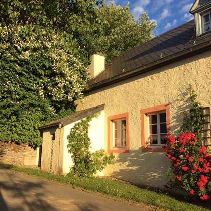 Une maison charmante avec des plantes en fleurs et des fenêtres colorées. Entourée d'arbres verts et d'un ciel clair.