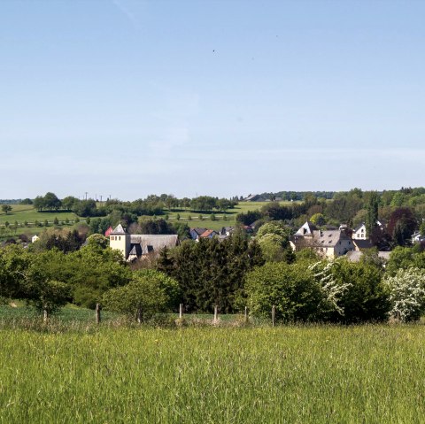 Burg Dudeldorf, &copy; TI Bitburger Land
