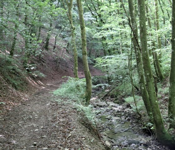 Small stream along the hiking trail, © Tourist-Information Islek