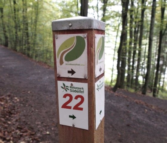 Wegweiser im Naturpark Südeifel zeigt Route Nr. 22. Der Pfad führt durch einen grünen Wald. Schilder mit Pfeilen und Naturpark-Logo sind sichtbar., © TI Bitburger Land