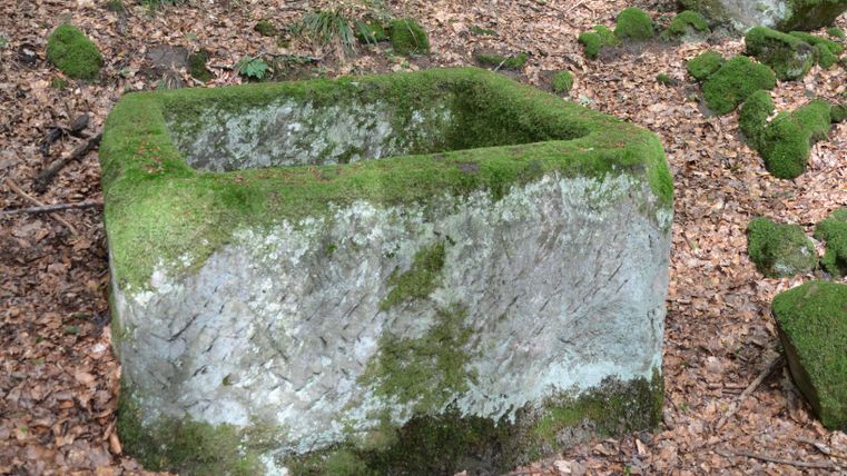 Moosbedeckter, rechteckiger Steinblock im Wald.