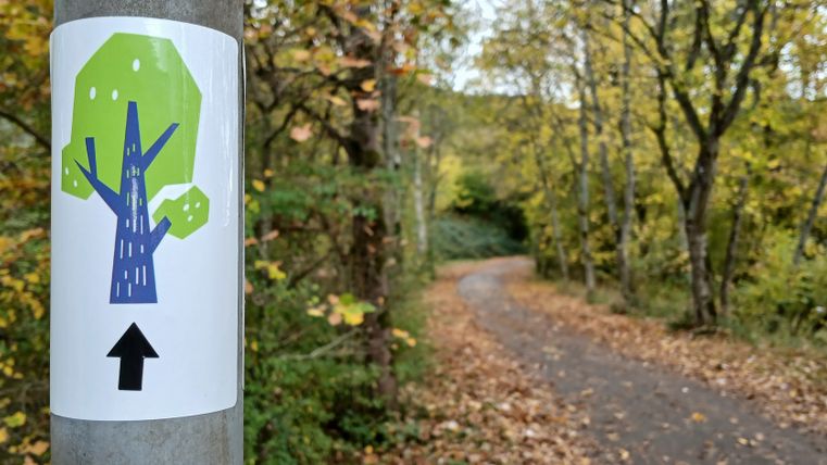 Ein Weg im Wald mit einem Schild, das einen stilisierten Baum und einen Pfeil zeigt.
