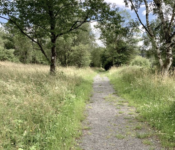 Irrhausen reservoir comfort trail, © Naturpark Südeifel, Ansgar Dondelinger